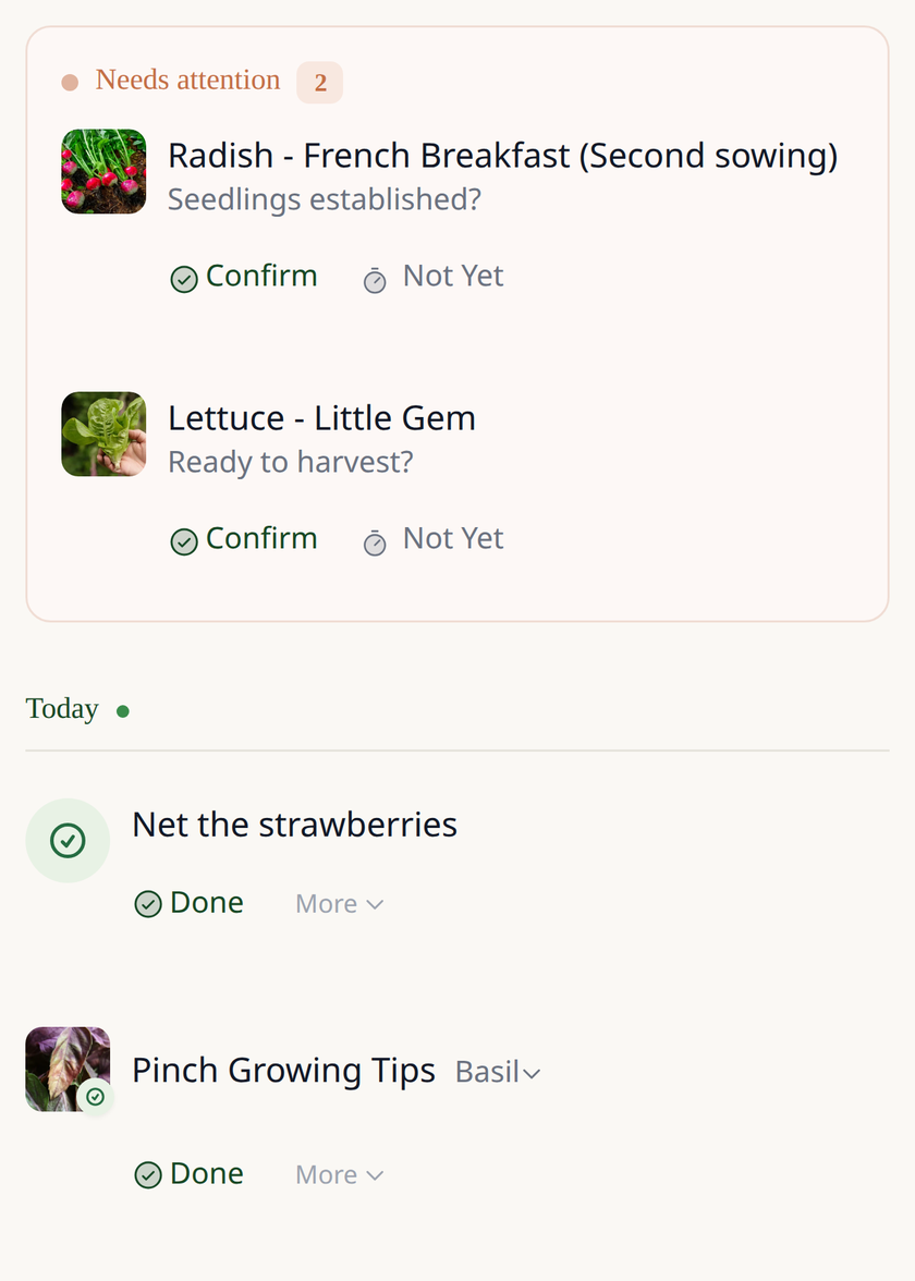 Leaftide Coming Up list: prompts to confirm that radish seedlings are established and that lettuce is ready to harvest, then today's tasks to net the strawberries and pinch out the basil.