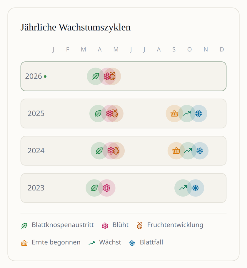 Leaftide-App-Ansicht: vier Jahre Wachstumszyklen eines Apfelbaums nebeneinander, vom Blattaustrieb und der Blüte bis zur Ernte und zum Laubfall.