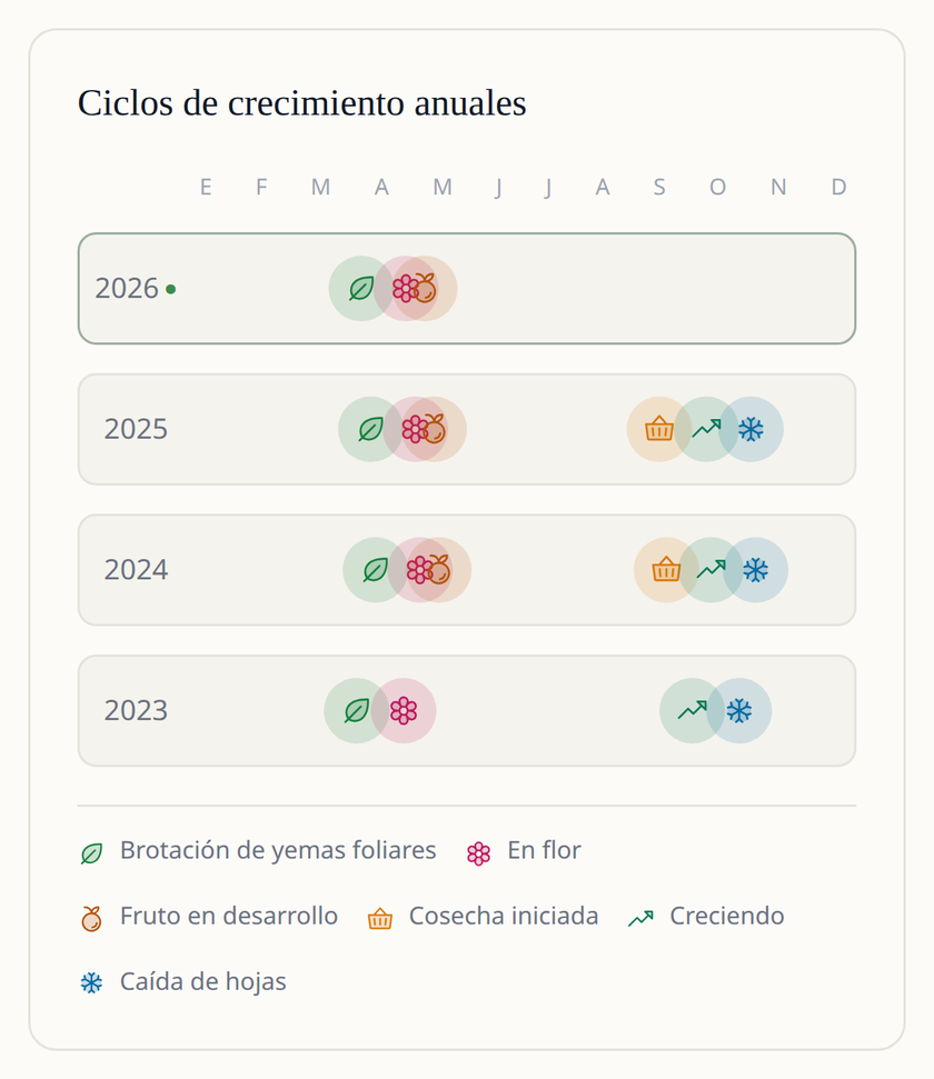 Pantalla de la app Leaftide: cuatro años de ciclos de crecimiento de un manzano, uno junto a otro, desde la brotación y la floración hasta la cosecha y la caída de la hoja.