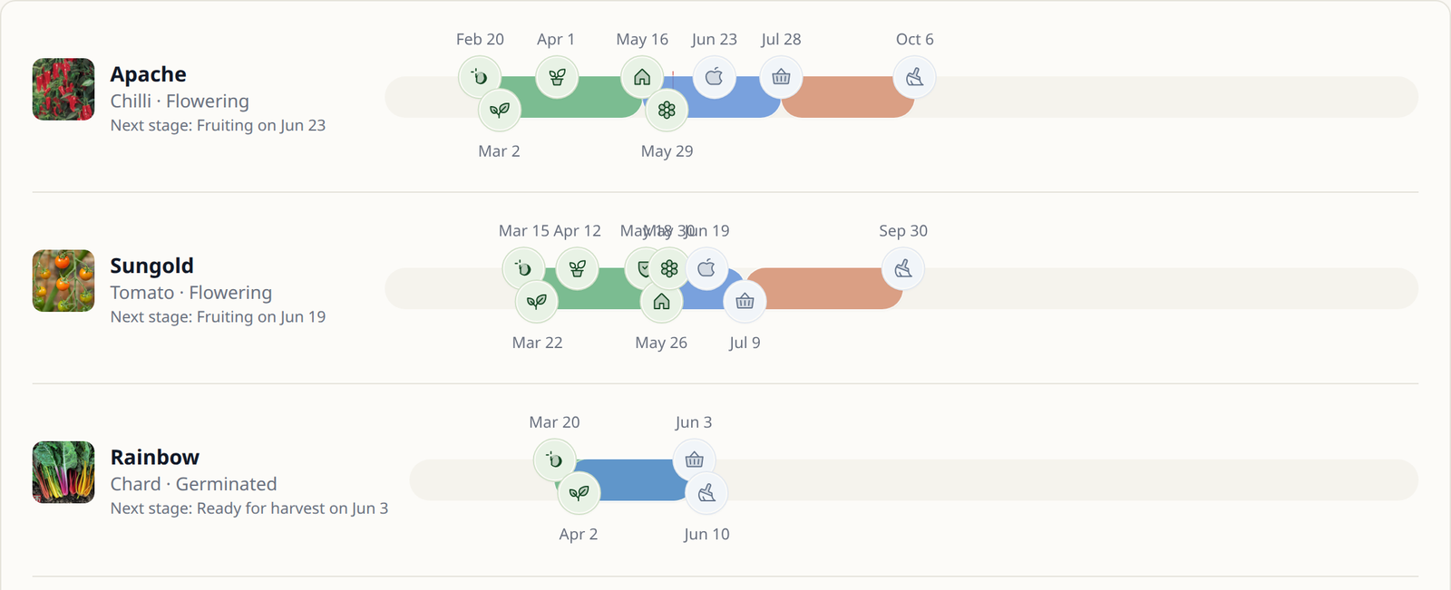 Leaftide timeline of a season for a chilli, a tomato and chard, with each plant's stages from sowing to clearing marked on one bar.