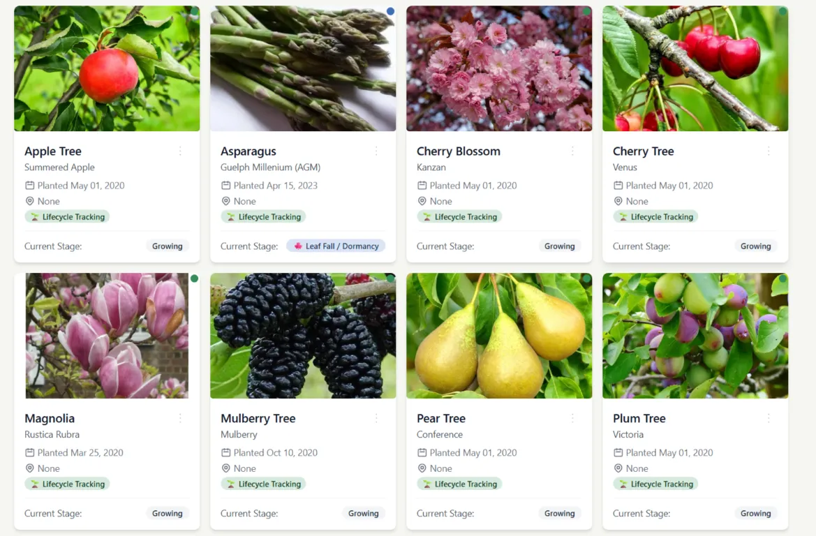 How I finally know what is in my garden