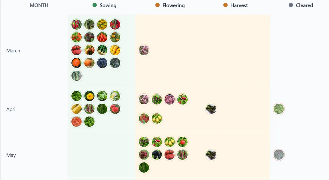 Season overview showing each plant's progress through stages