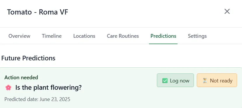 The garden reminder that made me actually look at my plants