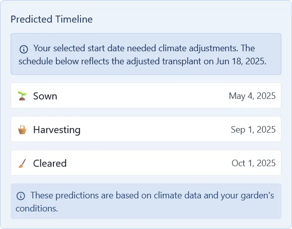 Timeline for tomatoes started outdoors showing later sowing and harvest dates