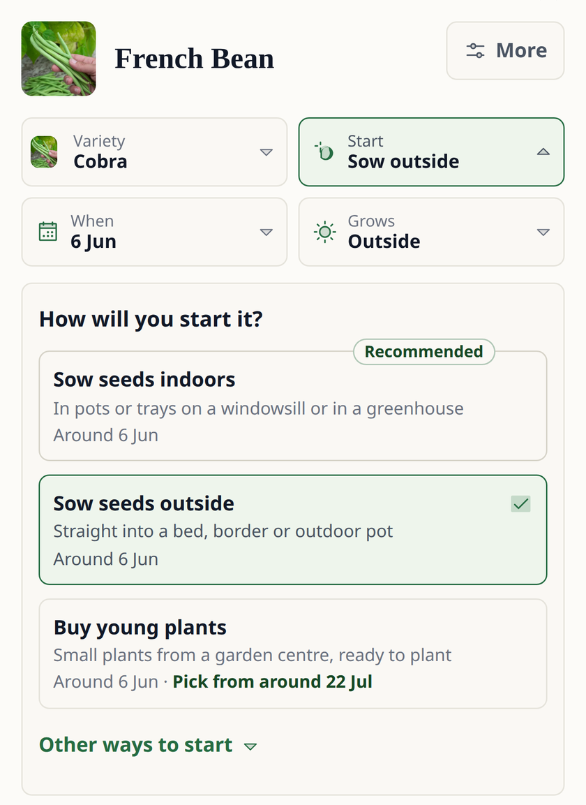 Leaftide asking how to start a French bean: sow seeds indoors (recommended), sow seeds outside, or buy young plants and pick from around 22 July.