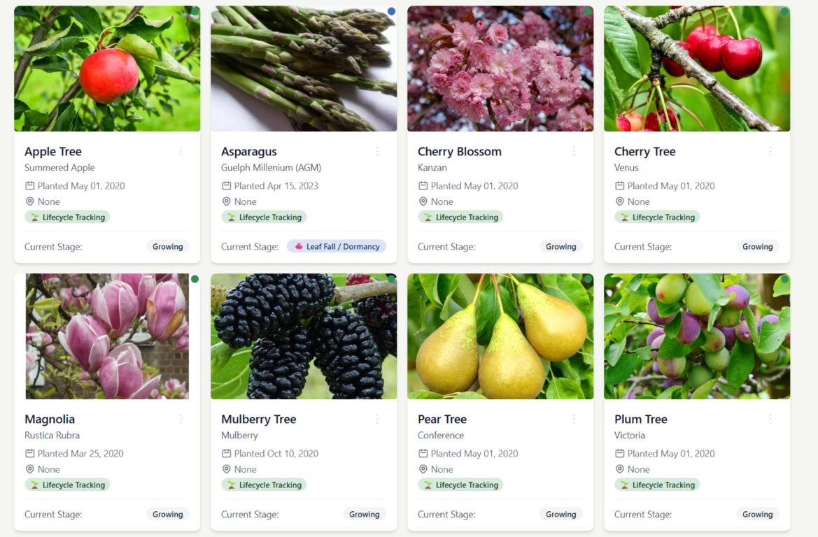 How I finally know what is in my garden